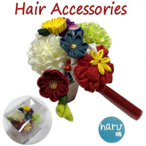 yXIWiz  wAUs 11_ nhCh ߂ ܂ݍ׍H [ l ܎O Us U Ǝ  wAs wAANZT[  䂩 a   