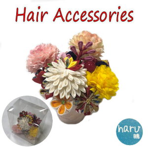 yXIWiz  wAUs 12_ nhCh ߂ ܂ݍ׍H l ܎O Us U Ǝ  wAs wAANZT[  䂩 a   fB[