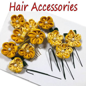  5_Zbg wAUs R[ CG[ p[ F nhCh ߂ ܂ݍ׍H l ܎O ̎q Us U Ǝ  wAs  䂩 a  q 