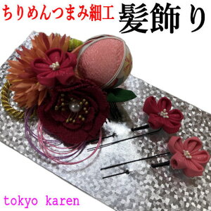  3_Zbg l U uTOKYO KAREN v R[ Us Up wAANZT[ Ԕ ܂ݍ׍H f ׍H gݕR 񂴂 {  a a   