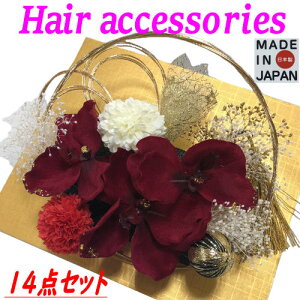  14_Zbg l U R Us GW   S[h Up wAANZT[ Ԕ ܂ݍ׍H  ׍H [ 񂴂 {  a   