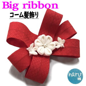 rbO{  { ܂ݍ׍H uNGC^[͂vi wAR[ ڂ ߂ 傫{ l ܎O R[ U Ǝ w w wAANZT[  