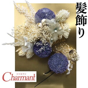  2_Zbg V} p[v zCg l U R[ Us } p[ Up wAANZT[ Ԕ ܂ݍ׍H  񂴂 {    