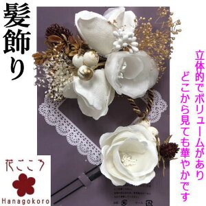  2_Zbg l U uԂv R[ Us Up wAANZT[ Ԕ KN hCt[ gݕR  񂴂 {  a a   p 