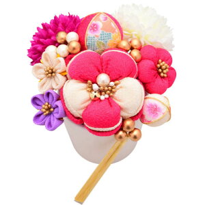  uArencav wAUs 12_ ߂ ܂ݍ׍H C u[P^Cv l ܎O Us U Ǝ  wAs wAANZT[  a  IW p fB[