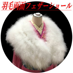 t@[V[ tFU[V[ Up HуXg[   UpV[ ʉHуV[ t@[}t[ h amp a Xg[ a p fB[X  l 