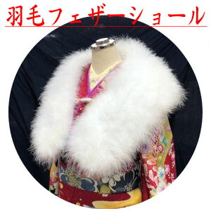 t@[V[ tFU[V[ Up HуXg[ Ж UpV[ HуV[ h a Xg[ a p fB[X  l Ǝ  ӂӂ  ӂ