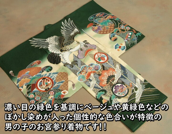 お宮参り 着物 男の子 絹100％ 正絹 初着 濃緑色 鷹 矢羽根 鶴 金糸 