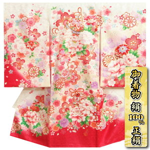 {Q  ̎q Ԃ 100   Ԑؑ֐ߕ hJ䉖 hJ n䐶n {