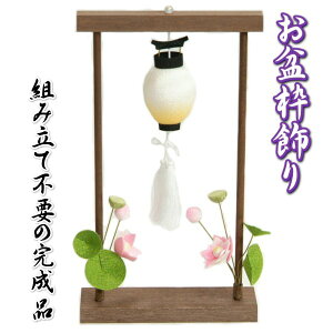 ~ ~ g ߂񐶒n  @̉ 25cm̑TCY {