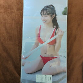 岸みゆデスクマット【中古】
