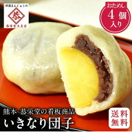 ランキング受賞！ ★5と0のつく日限定30％OFFクーホ゜ン有 【おためし】いきなり団子 個包装 4個 つぶあ…