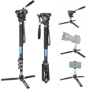 ARTCISE A~rLbg t[hrfI_ƃX^ht 183cmő卂 nh rfI_䁕Orx[XX^h m|bh X[Yȃp`g OBe/vtFb