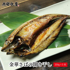  {錧ւ錶̃uhTo ؂Ί5Zbgi1250gj |Cg hY
