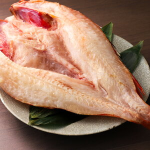 y󏭃TCY40cmOz giL`WjJ AXJYbEdl̑ԂTCYb Ă ̍ɍœK