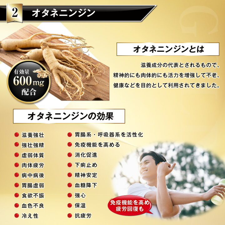 楽天市場】【公式】 プロキオン ゴールド 指定医薬部外品 30日分 