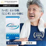 【公式】 プロキオン V＆βサポート 30日分 男性 活力ケア 厳選配合 即効性 サプリメント サプリ 持続力 …
