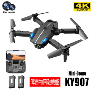 KYOMOTOyQzyobe[2tzƋsv 100g h[ ^ Jt KY907 S ܂肽 ~jh[ 掿  RpNg { v[g ItVbg