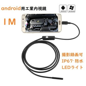 楽天市場 マイクロスコープ Usbの通販