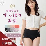 ＼最大90％OFF！店内全品対象／ショーツ サニタリーショーツ ノーマルショーツ 3枚セット レディース コ…