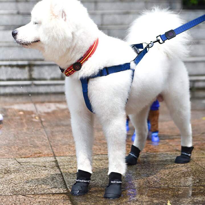 楽天市場 在庫限り 犬 靴 外 履かせやすい ドッグシューズ ペット用長靴 犬用 犬用シューズ4個セット 犬用靴 ペット用 保護シューズ ケガ 治療 雨靴 レインシューズ レインブーツ シリコン 雪 床保護 小型 中型犬 Gentil ジェンティル