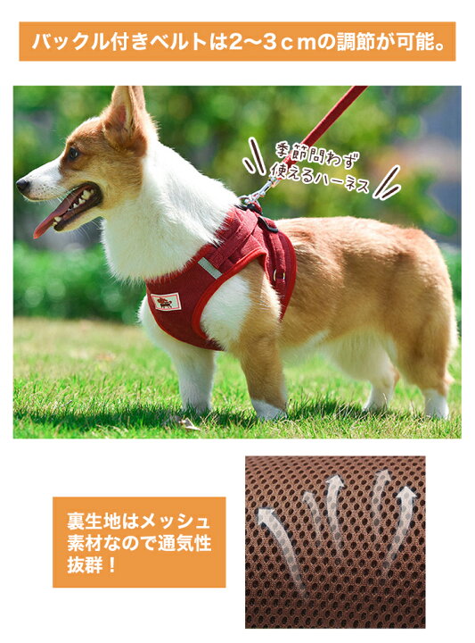 Qoobe クーべ おしゃれ 人気 リッドセット 犬ハーネス 犬用リード ソフト 中型犬 小型