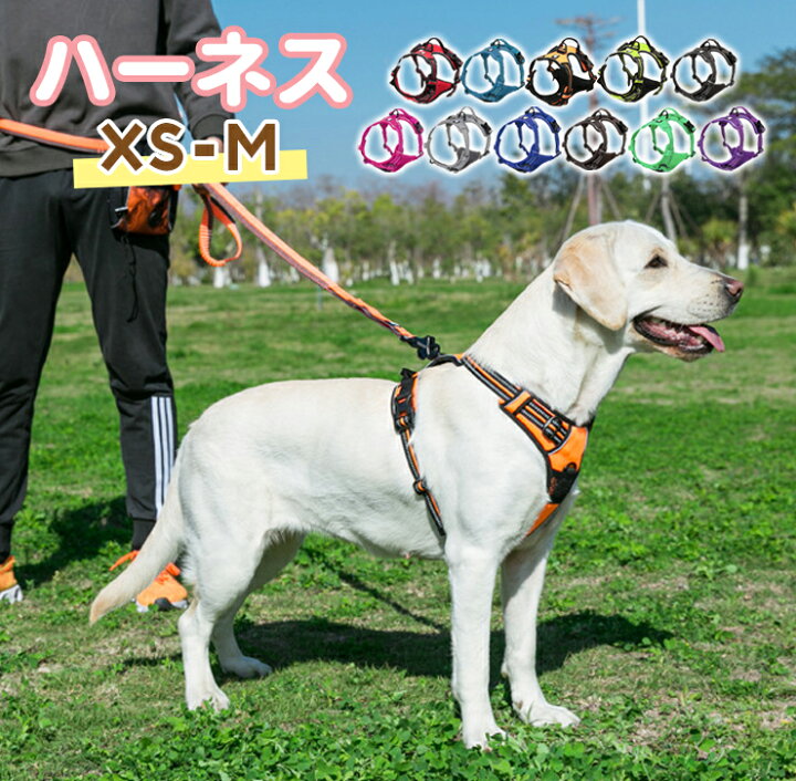 楽天市場 犬ハーネス 胴輪 小型犬 中型犬 ソフト 安全 簡単着脱 調節可能 反射材 通気性 引っ張り防止 負担軽減 メッシュ素材 通気性 ハンドル付き おしゃれ Z 246 Gentil ジェンティル 楽天市場 犬ハーネス 胴輪 小型犬 中型犬 ソフト 安全 簡単着脱 調節可能 反射材 通気性 引っ張り防止 負担軽減 メッシュ素材 通気性 ハンドル付き おしゃれ Z 246 Gentil ジェンティル