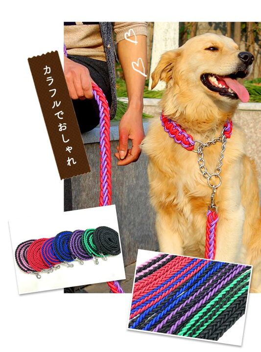 楽天市場 リード 犬のリード ペット用リード 犬 ペット リード 散歩 犬用 リード カジュアル おしゃれ カラフル 大型犬 小型犬 中型犬 カラー 訓練 トレーニング Gentil ジェンティル 楽天市場 リード 犬のリード ペット用リード 犬 ペット リード 散歩 犬用 リード カジュアル おしゃれ カラフル 大型犬 小型犬 中型犬 カラー 訓練 トレーニング Gentil ジェンティル