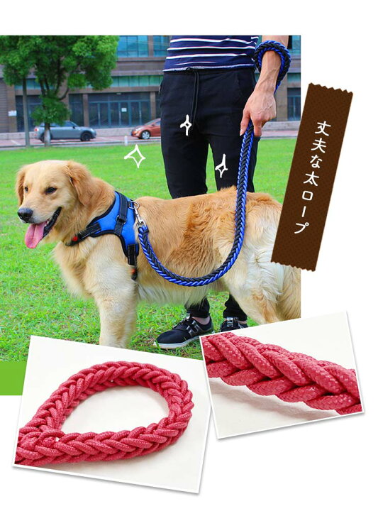 楽天市場 リード 犬のリード ペット用リード 犬 ペット リード 散歩 犬用 リード カジュアル おしゃれ カラフル 大型犬 小型犬 中型犬 カラー 訓練 トレーニング Gentil ジェンティル 楽天市場 リード 犬のリード ペット用リード 犬 ペット リード 散歩 犬用 リード カジュアル おしゃれ カラフル 大型犬 小型犬 中型犬 カラー 訓練 トレーニング Gentil ジェンティル