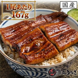うなぎ 国産 蒲焼 京丸 1尾167g化粧箱入り 鰻 夏ギフト お中元 京丸うなぎ 贈り物 贅沢 お取り寄せ グルメ 誕生日 御祝 内祝 惣菜 ウナギ 高級 送料無料 詰め合わせ お得 疲労回復 スタミナ お家ごはん 肉厚