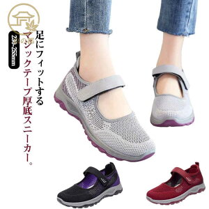  ҃V[Y tH ʋCQ V[Y C ~ Xb| NbV ʋ bV E i[XV[Y ɂ y fB[X ₷ W r N  