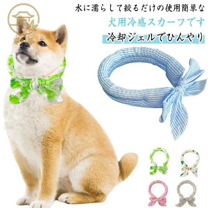 킢 4Zbg  p XJ[t  p Ԏ ybg Ђ  O ACXlbN 4Zbg MǑ΍ ۗ  ⊴ p WF ΍ ^ ^ 