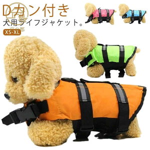 ^ XCxXg  C ^ v[ p RpNg CtWPbg   dJt y t[eBOxXg CtWPbg  V ~ V C Q 