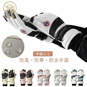 �X�m�[�{�[�h �������H ���]�� �����Y �X�L�[�O���[�u �X�L�[�p�i �X�}�z�Ή� �~�g�� �h�� ��� �X�m�{ �o�C�N �O���[�u �h�� �h�� �g���� ���f�B�[�X ���N�� �X�m�{�O���[�u �o�C�N�O���[�u