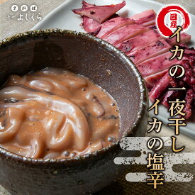 釣りたて！ 肉厚 スルメイカ 【 スルメイカ 一夜干し5枚 ＆ 塩辛1パック 】 国産 送料無料 厚身 いか一夜干 イカ焼き イカ塩辛 いか塩辛 イカ いか 塩辛 国産 肉厚 お酒 アテ 肴 塩辛 冷凍 おつまみ ポイント消化 ギフト 贈答 お取り寄せグルメ 珍味 干物 つまみ