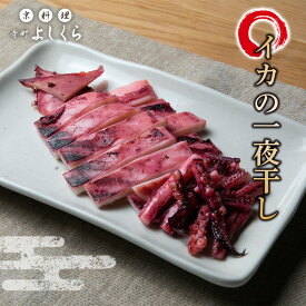 釣りたて！ 肉厚 スルメイカ 一夜干し 国産 送料無料 (180g以上/1枚) いか一夜干し 厚身 一夜干 イカ焼き いか お取り寄せグルメ 珍味 干物 つまみ 冷凍 送料無料