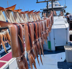 釣りたて！ 肉厚 スルメイカ 【 スルメイカ 一夜干し5枚 ＆ 塩辛1パック 】 お歳暮 国産 送料無料 厚身 いか一夜干 イカ焼き イカ塩辛 いか塩辛 イカ いか 塩辛 国産 肉厚 お酒 アテ 肴 塩辛 冷凍 おつまみ ポイント消化 ギフト 贈答 お取り寄せグルメ 珍味 干物 つまみ