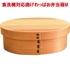 AEgbgi ܂ ٓ 600ml H@Ή MTCY i` d؂t O\ FSoht ٓ jp p Ȃ  l j  i j̎q