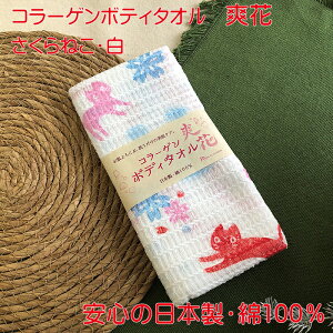 R[Q{fB^I u CL  ˂  Pi̔ L ˂ 킢 { ɗD lwH AR̃R[Qz ʋCǂ 悭z }t[^I