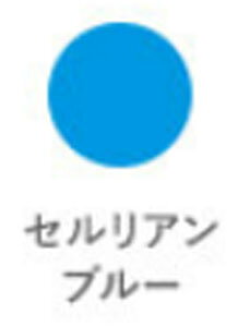 TN }bg PF |`[u i 12ml j G G̋ ʊG̋ `[u TNNpX   w wZ