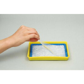 教材 自由研究・科学工作紙すきセット 学習教材 教材