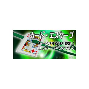 }WbN ipi J[hEGXP[v wK 