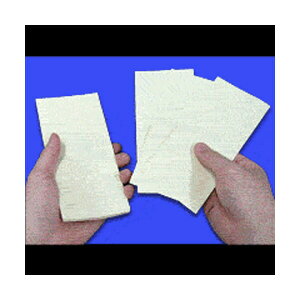 マジック 手品用品 成金紙幣 学習教材 教材