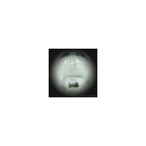 }WbN ipi {gƃibgEDVDt wK 
