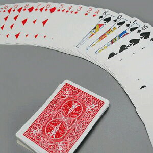 }WbN ipi oCXNEX^_[hEbh wK 