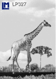 LM�� 3D�|�X�g�J�[�h �h�C�c�� �L���� & �G�b�t�F���� LP327 �|�X�g�J�[�h �O���[�e�B���O�J�[�h �����J�[�h �ω�����J�[�h �p���f�B�J�[�h �ω� �`�F���W�J�[�h �`�F���W