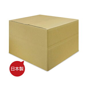 SW-G i̓{IƗp_{[/g[P[X100[py10Zbg̔z