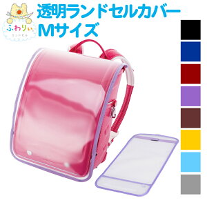 ӂ股hZ Ki [hZJo[ MTCY] hZJo[ CJo[ w j̎q ̎q wN wN J   ی ʊw Z Vv w v[g 