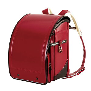 ywTtI[J[zӂ股hZ Ki [g[Y j̎q ̎q 2026NxV샂f] { y y   e a `FXgxg 6NԏCۏ A4tbg