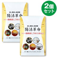 腸活革命 腸活 腸内 コンブチャ 乳酸菌 フローラ サプリメント ダイエット サプリ 生酵素 酵素 ビフィズ…